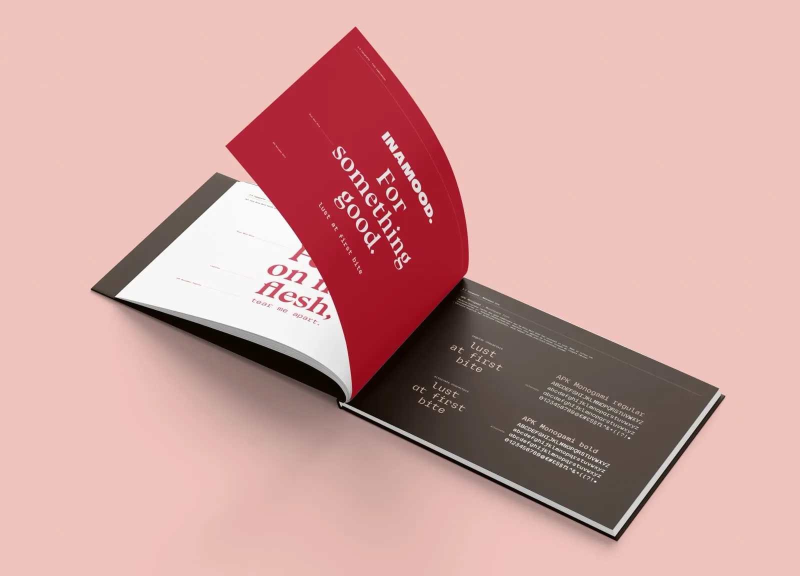 Brandguide-spread met fontcombinaties en het mono-specimen