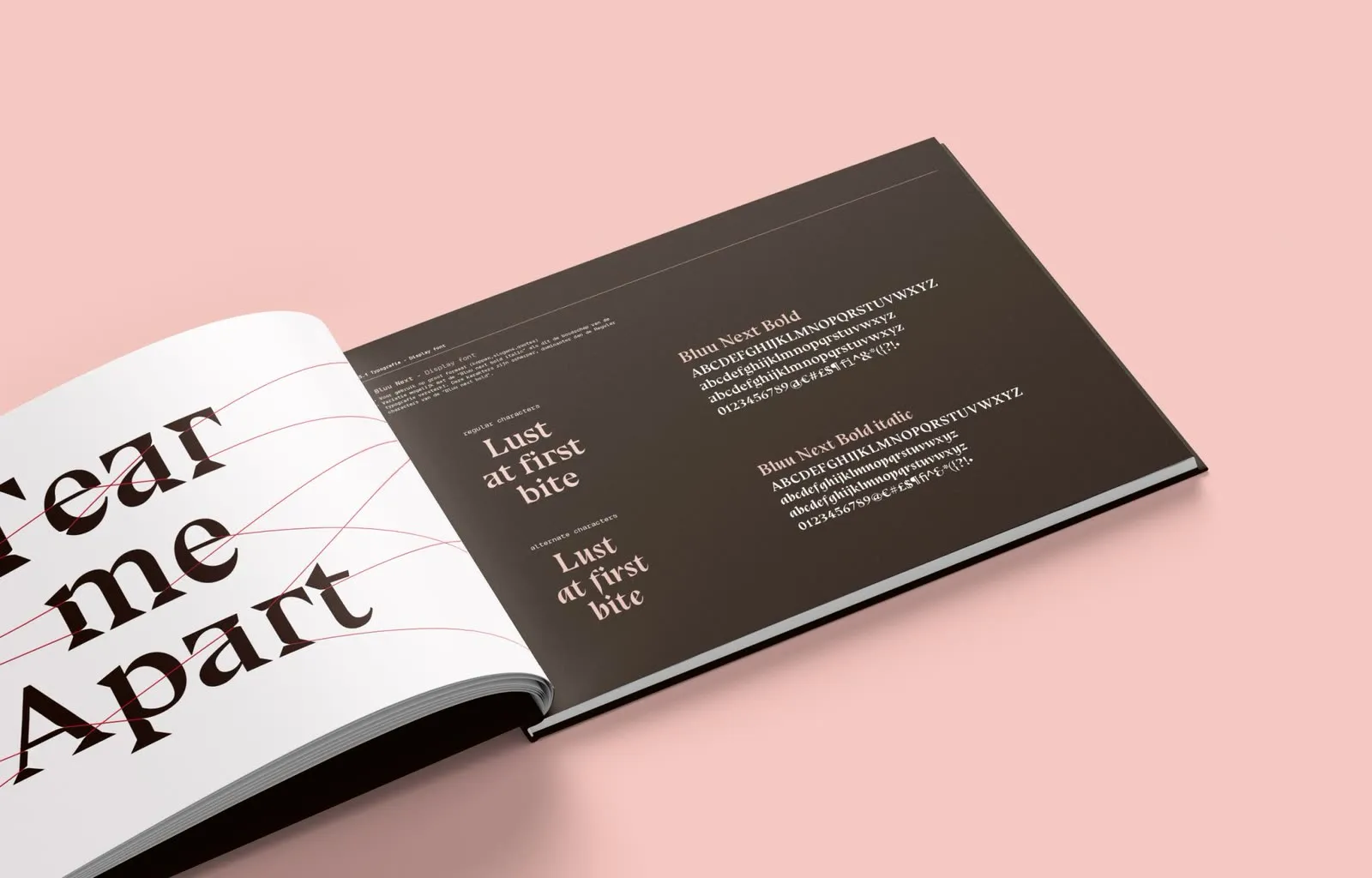 Brandguide-spread met het Bluu Next display-typespecimen