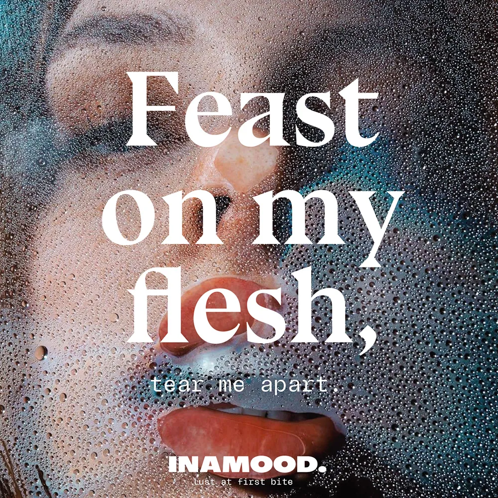 INAMOOD huisstijl, verpakking, vriesunit, app en campagnebeeld